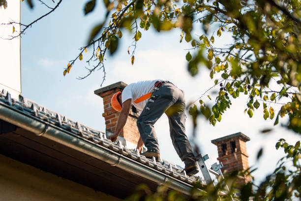 Best Roof Gutter Cleaning  in Halifax, VA